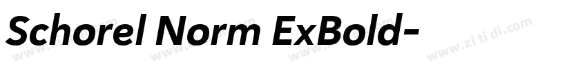 Schorel Norm ExBold字体转换